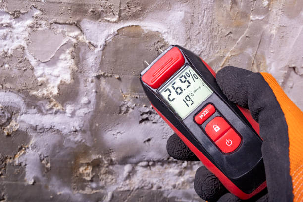 Best DIY Mold Remediation Support Services in Sullivans Island, SC