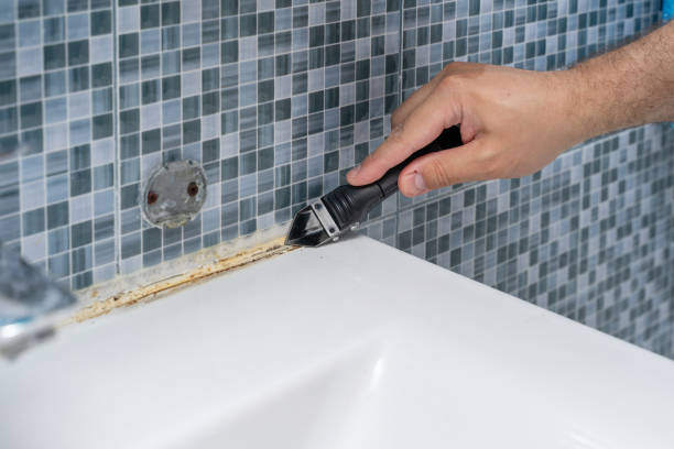 Best Health and Safety Mold Remediation in Sullivans Island, SC