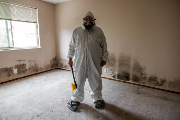 Best Residential Mold Remediation in Sullivans Island, SC